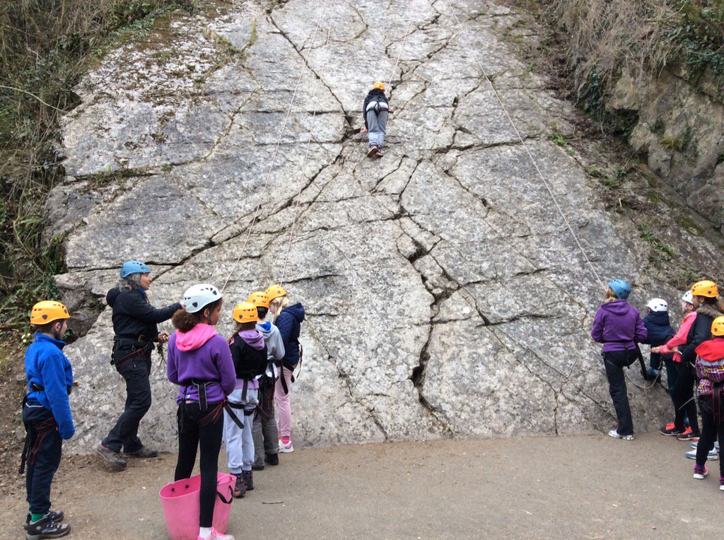 stackpole2016's tweet image. Fantastic day with the #FantasticFulmars