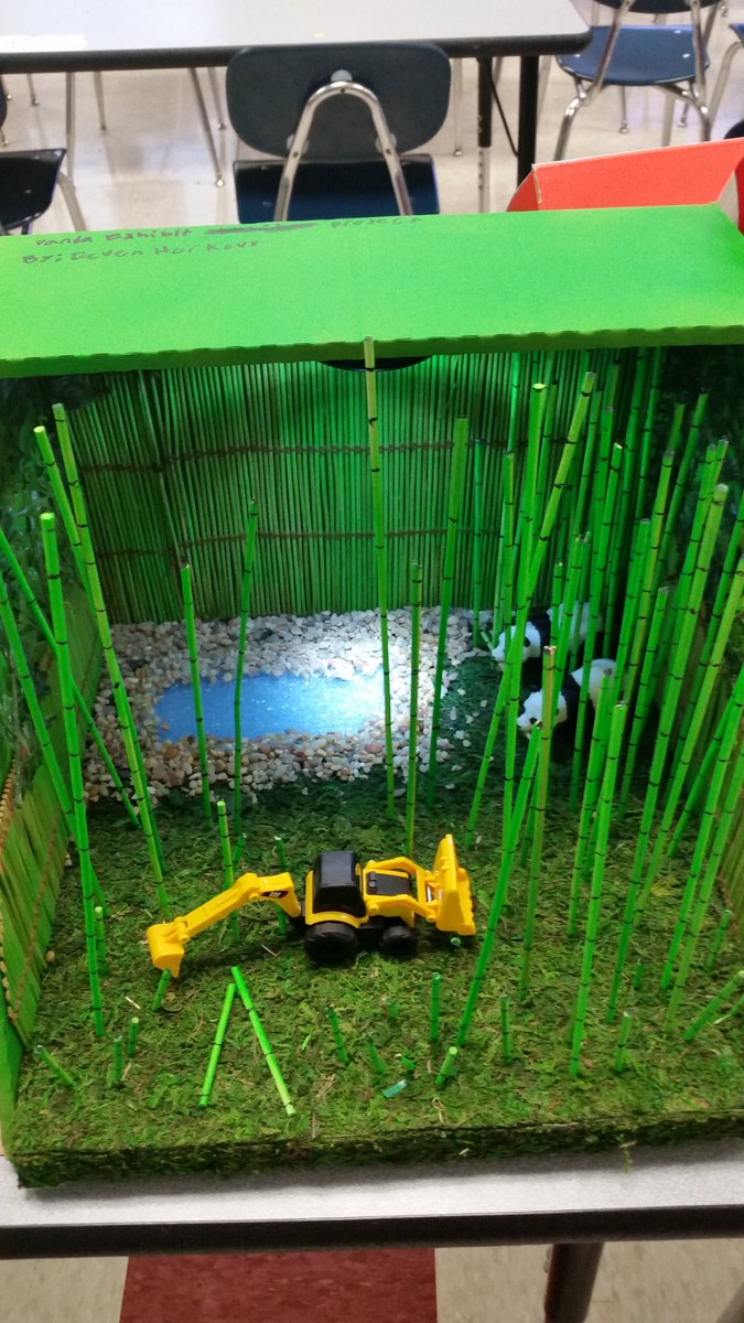 VH17972's tweet photo. Diorama of natural habitat utilizing informational writing. Great job 6A/B ELA! #patriotpride #engagefms https://t.co/Q3s64FGhtj