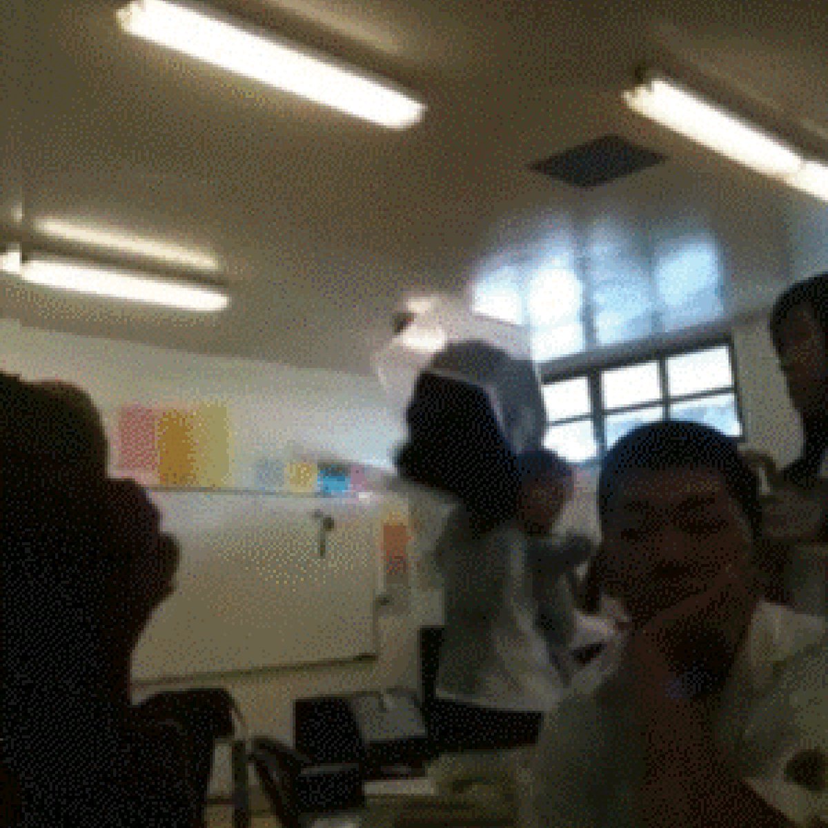 unaesthetickpop's tweet photo. Watching school fights with cheetah https://t.co/1aZy1FncFz
