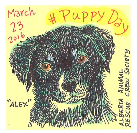 OpalBinia's tweet photo. #NationalPuppyDay #animalrescue @AARCS_Canada #littlecutie #apostitnoteaday #postit #PuppyDay #Lookatthatfacetho https://t.co/lWgfyZFOqH
