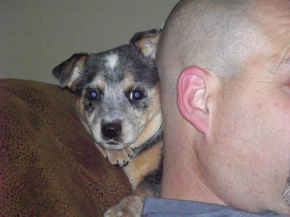 GrayceM's tweet photo. Happy #NationalPuppyDay https://t.co/nZ7ebtsHza