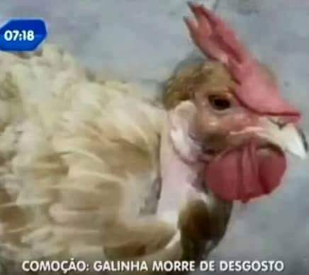Itspedrito's tweet photo. eu hoje https://t.co/g0tDMDRFGV