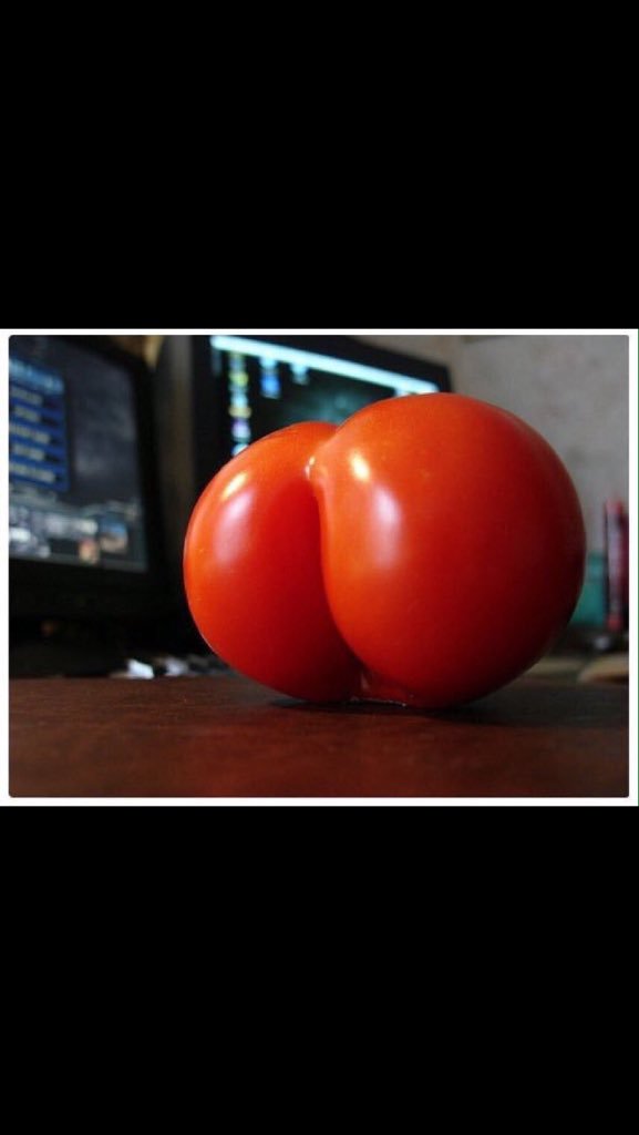 DumbSlutLogic's tweet image. Ya&apos;ll hoes are too much