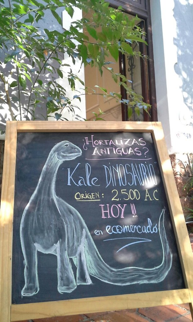 EcomercadoUy's tweet photo. Probaste el Kale "dinosaurio"? Siempre en Ecomercado! Del productor directo a tus manos! https://t.co/R3Ka1EYeS3