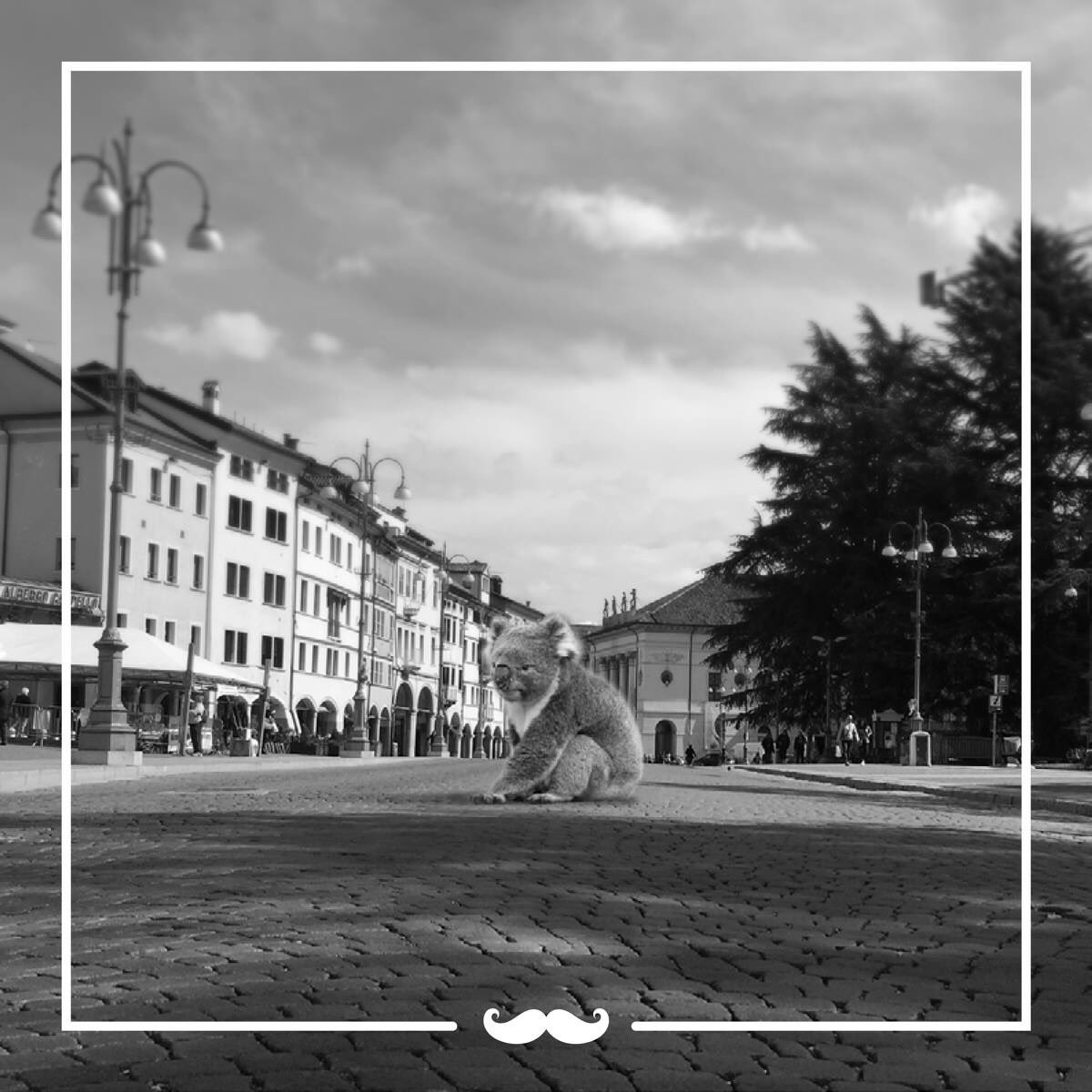 TheTonyApp's tweet photo. Wake up #Belluno.
#Tony has you ...
#followtheKoala 

(Siamo in arrivo. Preparatevi)

https://t.co/X1Prcp8H5i https://t.co/ob70YFRLOM