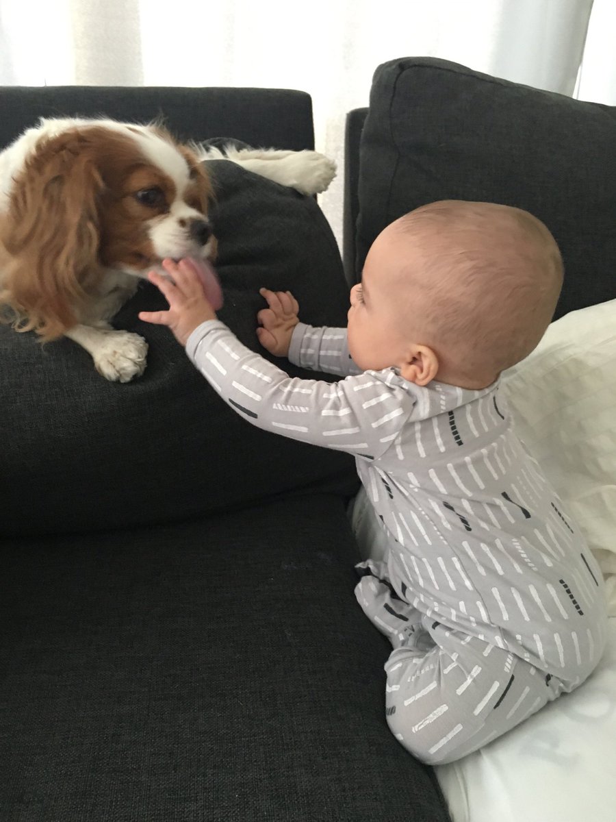 Happy #nationalpuppyday indeed!