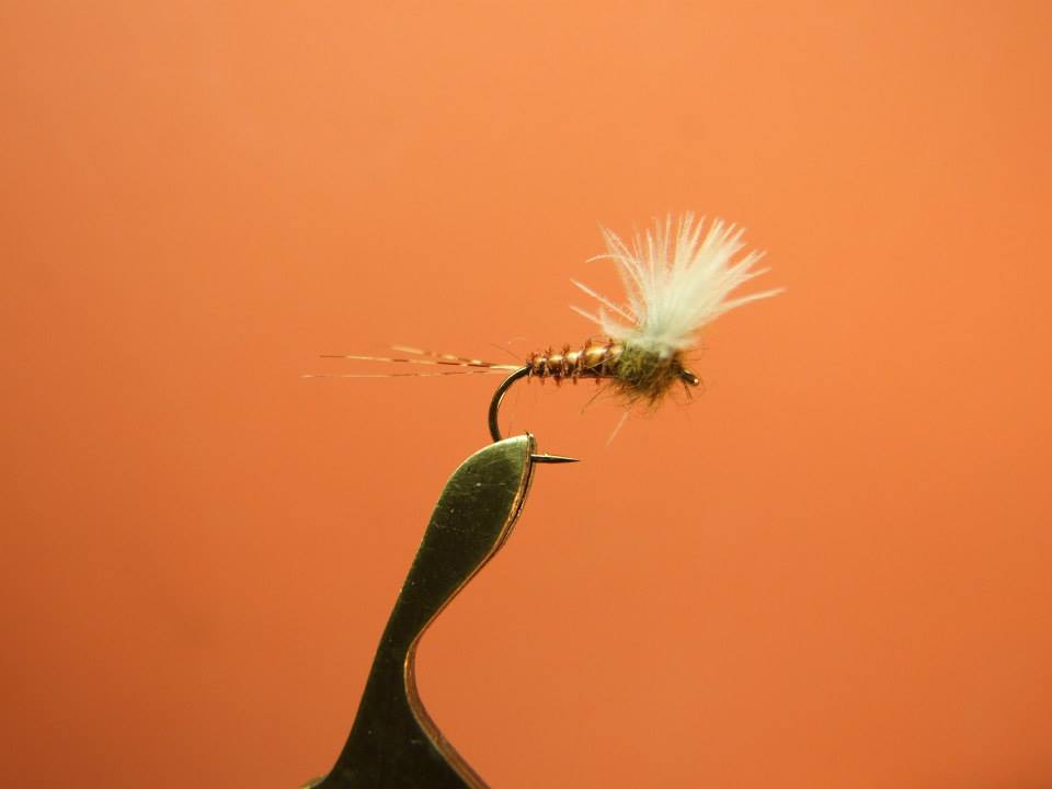 irishflycraft's tweet photo. This is an #Olive #comparadun a realy good #Dry #Fly pattern when there are small #Olive #Flies on the #River https://t.co/XbUpLjy2N2