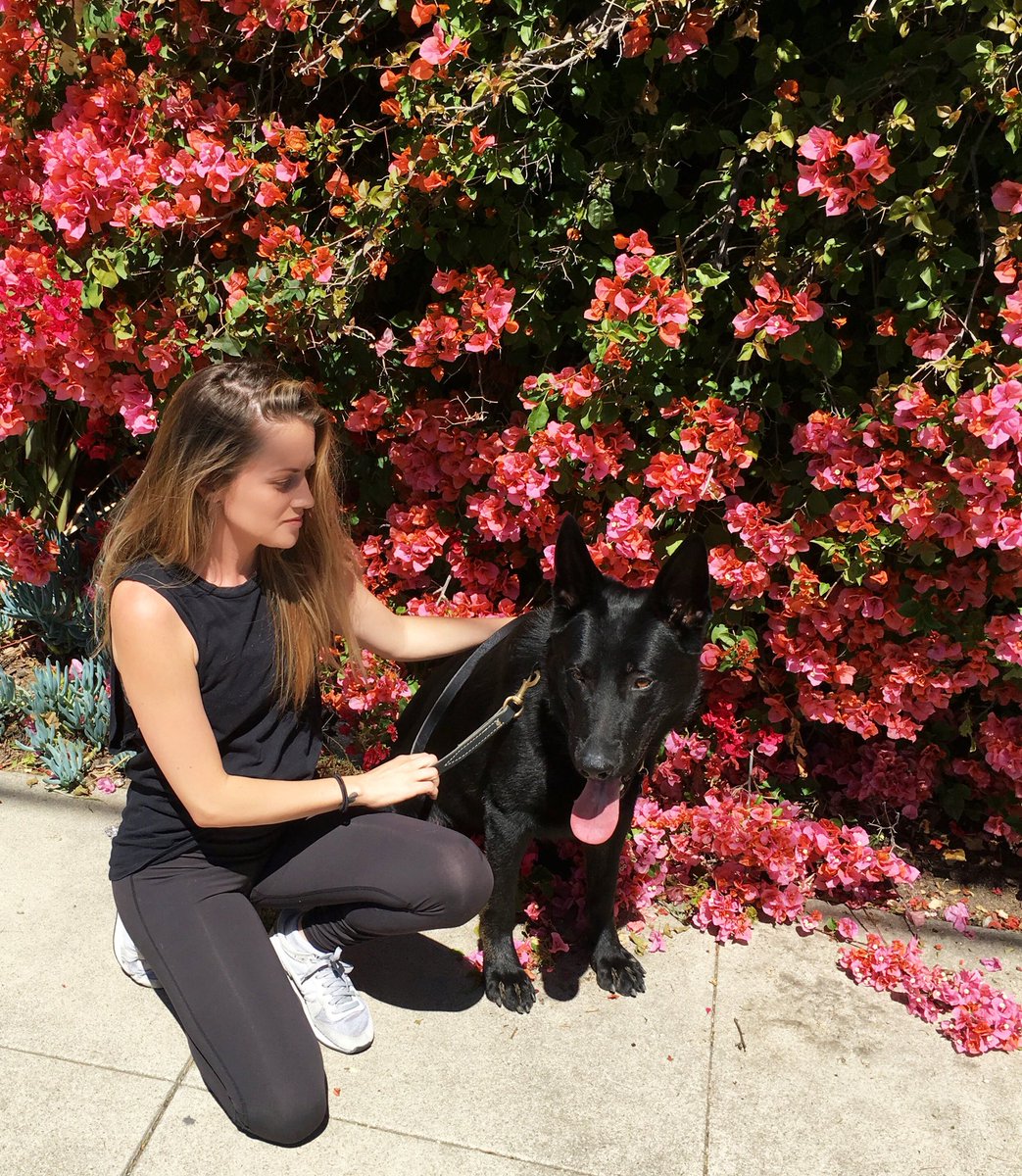 PosturalQueen's tweet image. #NationalPuppyDay Grateful for moments with this gentle giant today ❤️ Hug your pups today!