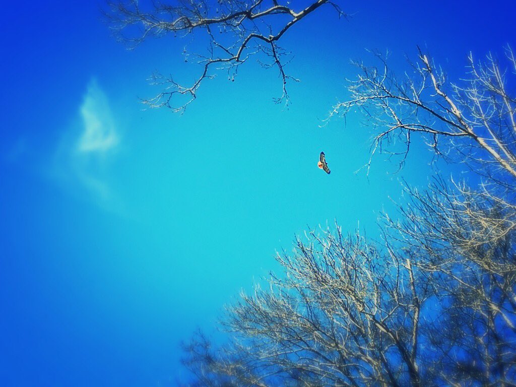 A little encouragement can make big dreams soar...#creativecommunity #dreams #synergy #encouragement #makeithappen