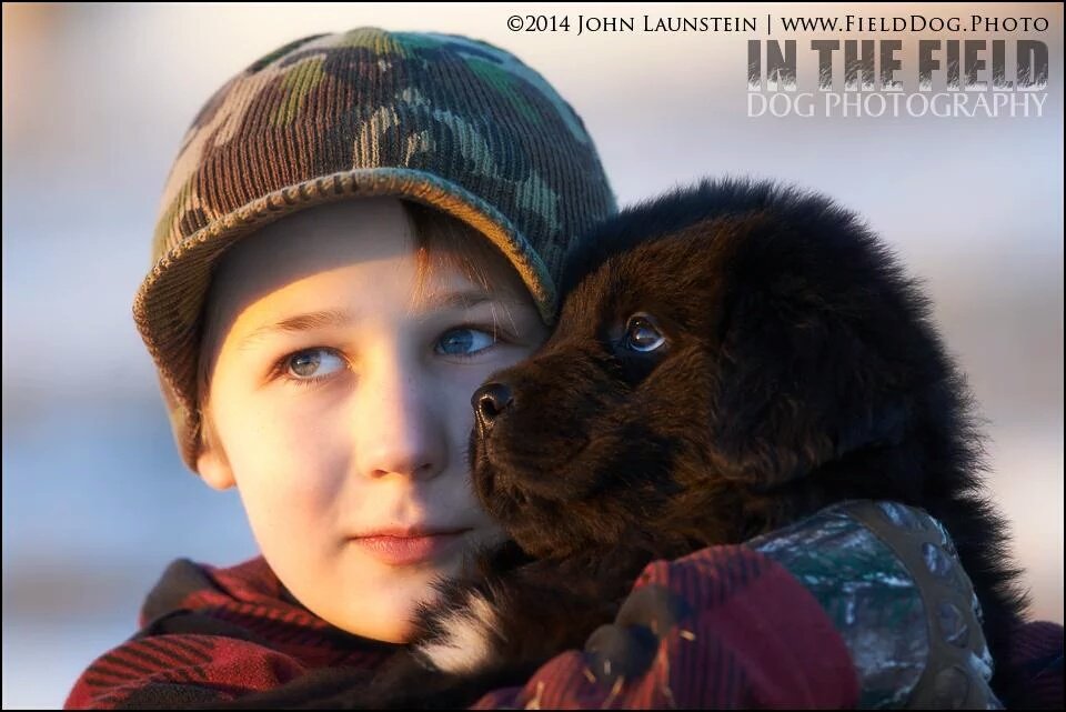 FieldDogPhoto tweet picture