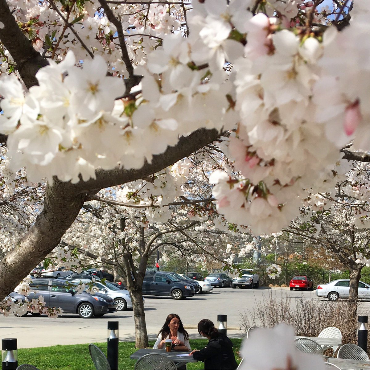 2northshore's tweet photo. This afternoon, take a break with us on the patio—it's a gorgeous #spring day. https://t.co/RZaczgbifj