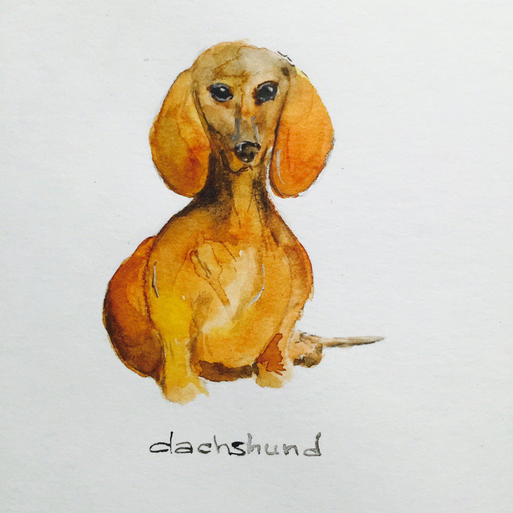 StaceyTkachenko's tweet photo. Hail to these cuties 😇#sketch #like4like #illustration #internationalpuppyday #Dachshunds https://t.co/0I50qYXgcv