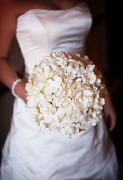 Plantas y mas (@plantas_ymas) on Twitter photo 