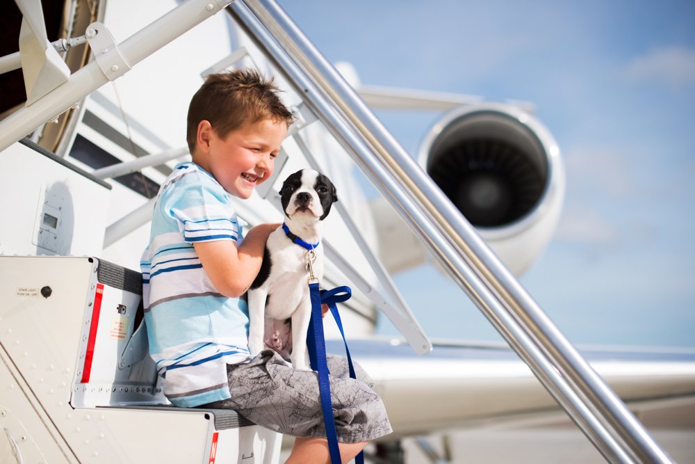 FlyACIJet's tweet image. Our 4-legged friends are always welcome aboard #ACIJet flights #NationalPuppyDay #dogslife #flyprivate