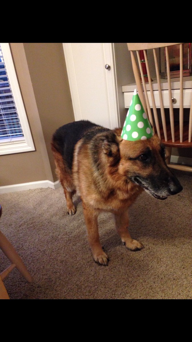 jakebylsma11's tweet photo. Big S/O to my girl Macey on National Puppy Day https://t.co/CmO1bsMTBU