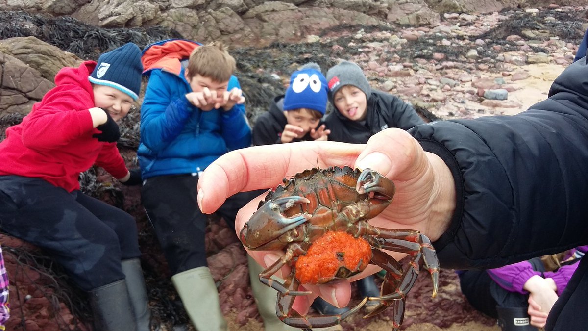 stackpole2016's tweet image. Crazy day spent rock pooling and canoeing. Gannets found out loads about marine life and capsizing!! #stackpole2016