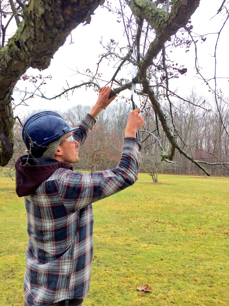 seanjamesdesign's tweet photo. Action shots o'my awesome @MohawkCollege #HortApprentice students performing a practical #Pruning test @RBGCanada https://t.co/h26lUMQHpQ