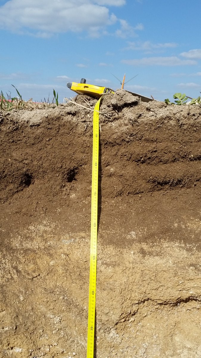 FlorentThiebaut's tweet photo. Il n'y a pas que de la #craie en #champagne pouilleuse il y a également de la graveluche. #Profildesol tjrs👍 https://t.co/YtxEMKcWu7
