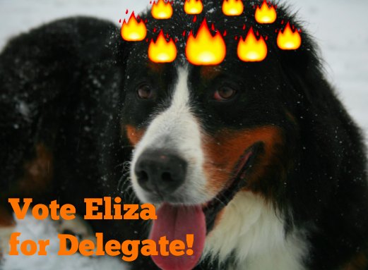 eliza4delegate's tweet photo. My pup knows how to #LeadWithFire :) Do you? #NationalPuppyDay 🐶🐶🐶 https://t.co/yXJ9GyF0Kc