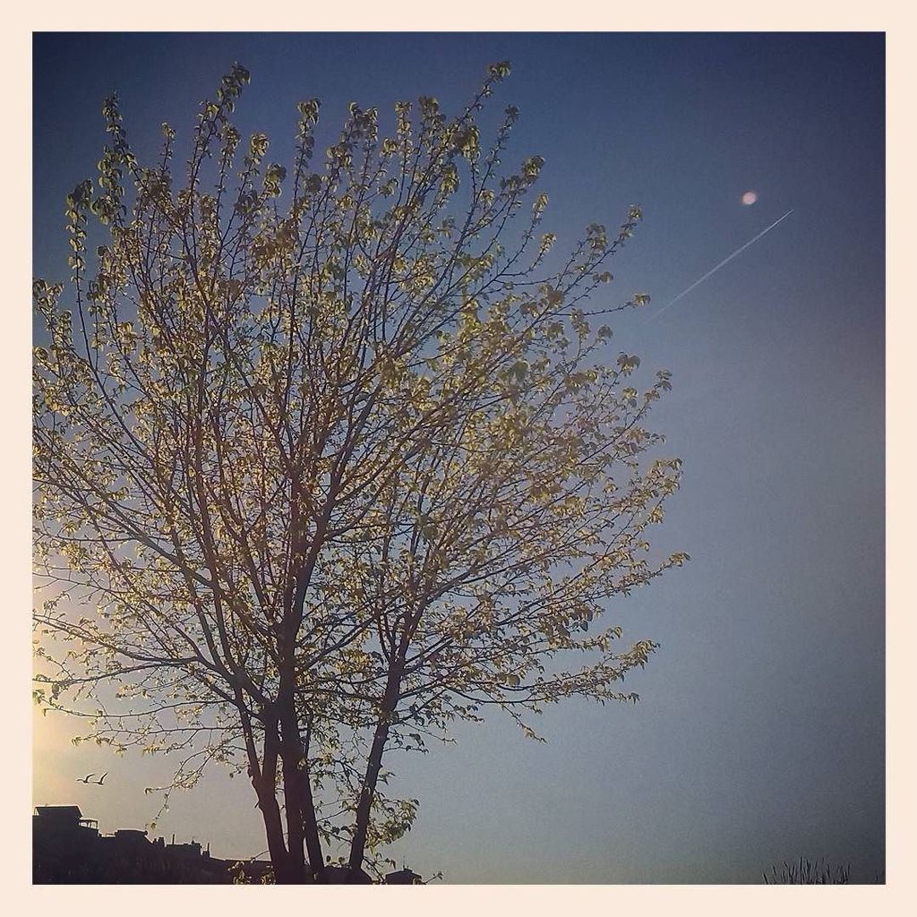 aMirabet's tweet photo. #FOTOGRAFÍA #phonografia #barcelona #stadteinsamkeit #besosdaily #riubesòs https://t.co/pjGWE9Tnaf https://t.co/eM8c1qg34d