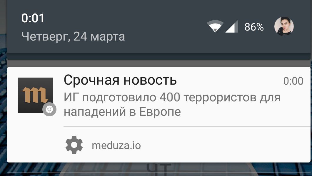 more than olives tweet media