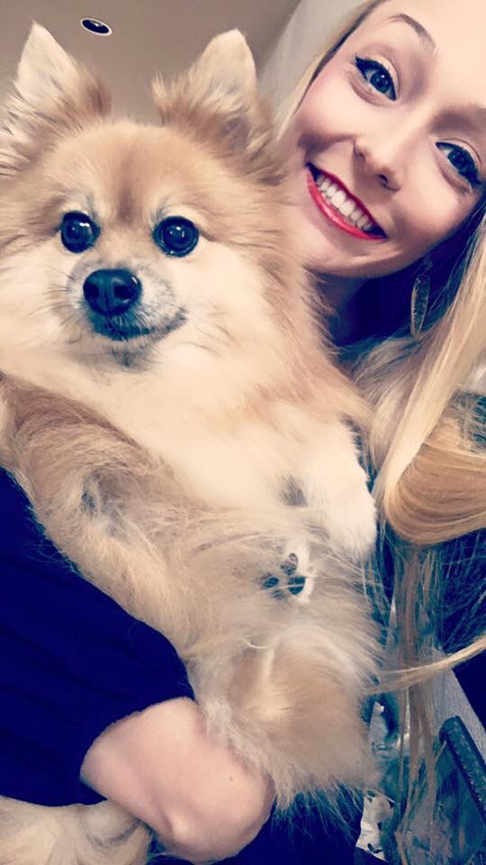 christinedodd12's tweet image. #NationalPuppyDay   #techpup