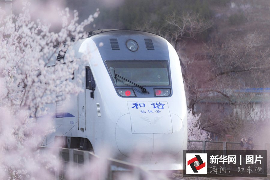 XHNews's tweet photo. A feast for eyes? Get on train to embrace peach blossom at Juyongguan -- mountain pass of the Great Wall in Beijing https://t.co/CYAvVgoCkb