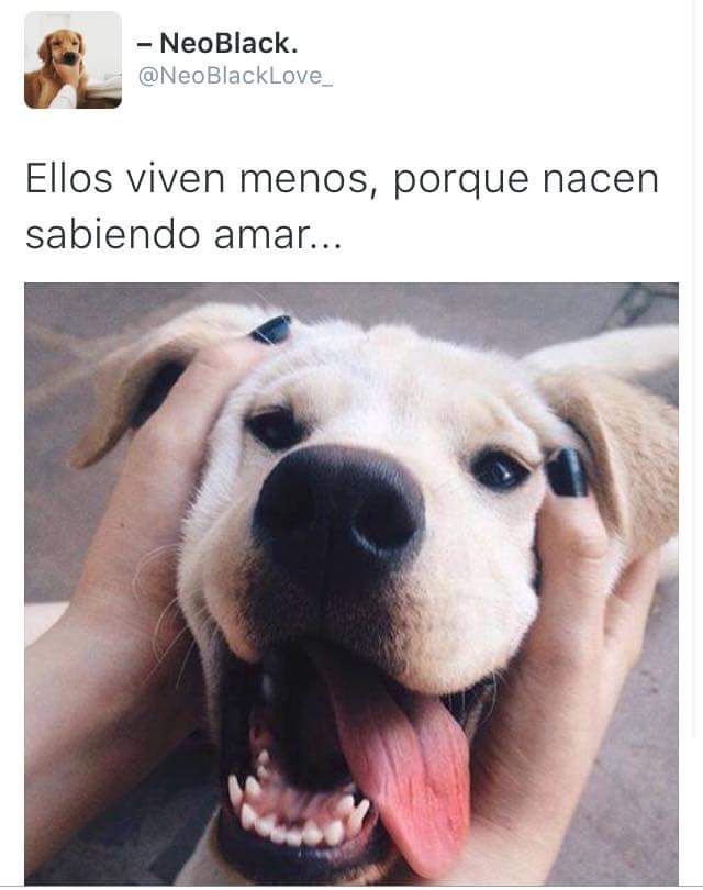 huellasdecabal's tweet photo. https://t.co/RKqHflD9vq