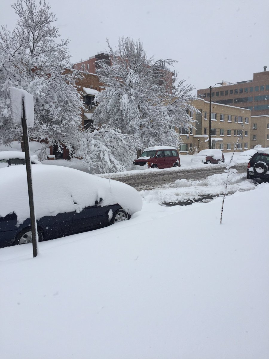 Ross1989Sarah's tweet photo. Colorado snow day. My little CRV is buried. Not digging that out until morning! #coloradoBlizzard #blizzard2016 https://t.co/sLp4Mpc2ch