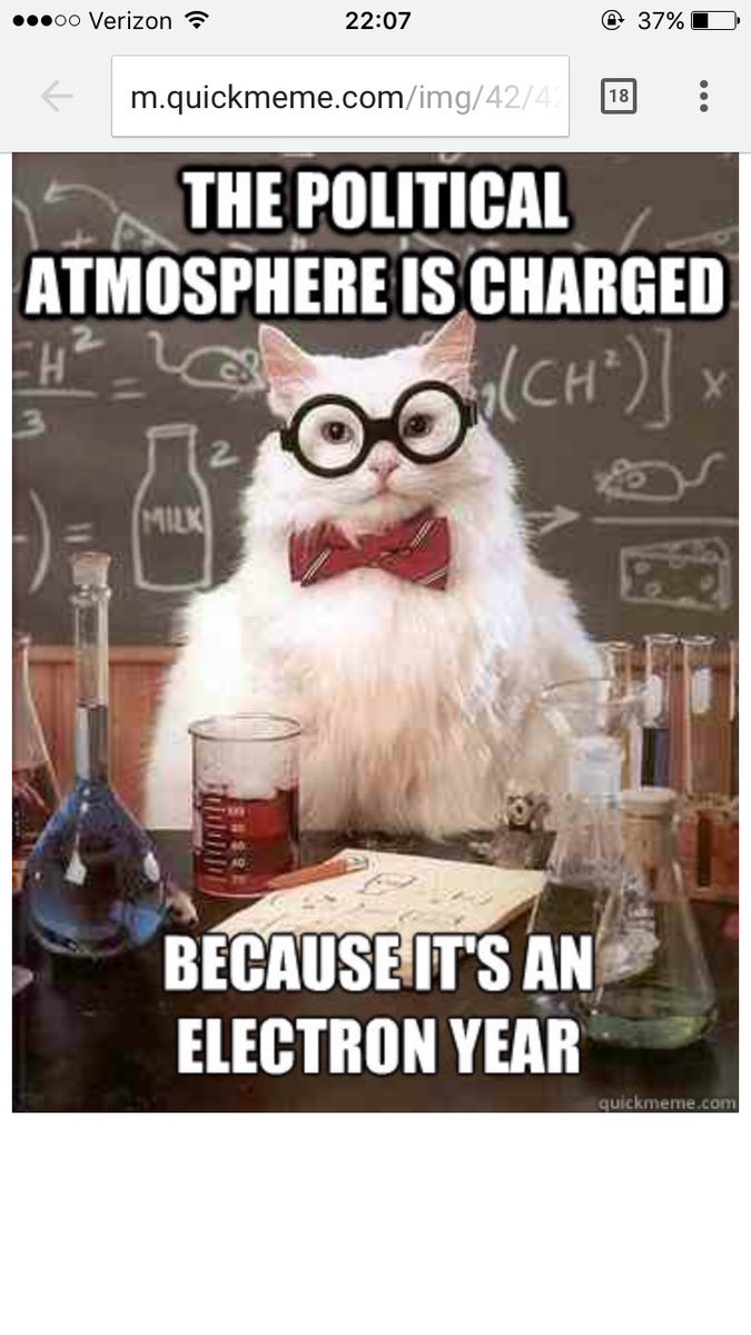 danjradcIiffe's tweet photo. my AP gov teacher sent this to my whole class hes more into cat memes than he is teaching us https://t.co/OHBCZ5ZpXh