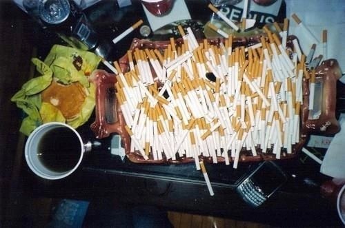 AlienIdentity's tweet image. 