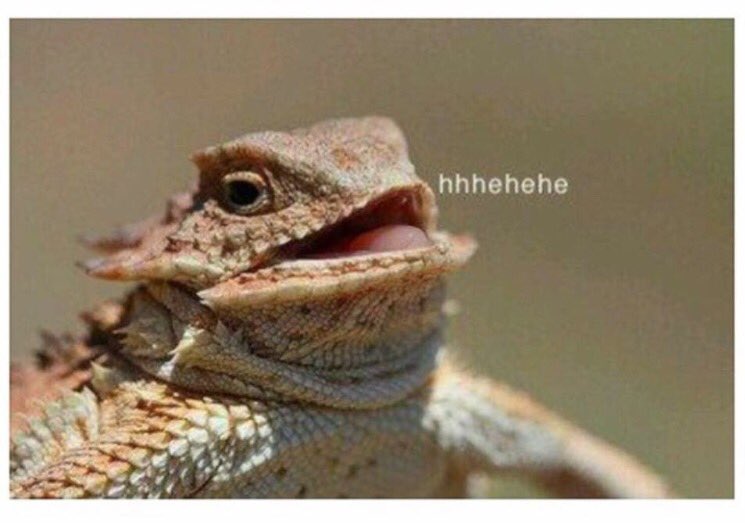 Obama_Did_Weed's tweet photo. When you're sitting there with a double chin scrolling through your time line and see something funny https://t.co/Tin8bkGhOo