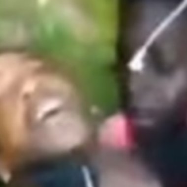 MistieKomm's tweet photo. And Here We Have Katt Williams Sucker Punching A Teen Before Getting Bundled Up By The… https://t.co/Dol34Ac6HC https://t.co/0pyvQVIWjx