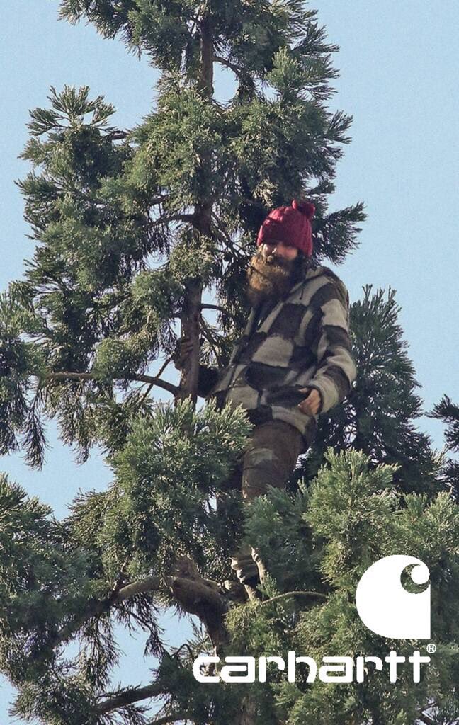 BeReadyWipes's tweet photo. What scent do you think @man_in_tree would be into? #musk #fresh #mint #manintree #seattle #gay #beard #models https://t.co/8fjAON7Ezu