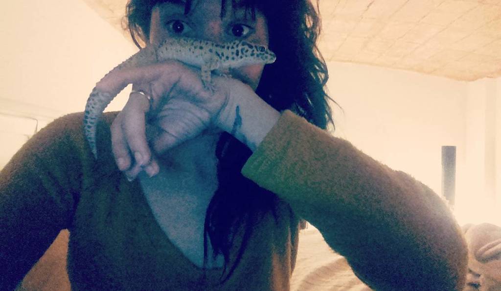 CladiaCardena's tweet photo. Hoy tengo una intrusa en la cama! #geckogirl #gecko #geckoleopardo #geckosofinstagram #juancha #casi1año #animalsof… https://t.co/5XFXZakVae