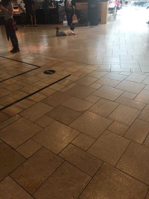 Failed parenting at its best. Those floors are dirty as hell. Some people shouldn't be able to reproduce<a href="/tag/xxx"class="tags"><span>#xxx</span></a><a href="/tag/dakotaskye"class="tags"><span>#dakotaskye</span></a>