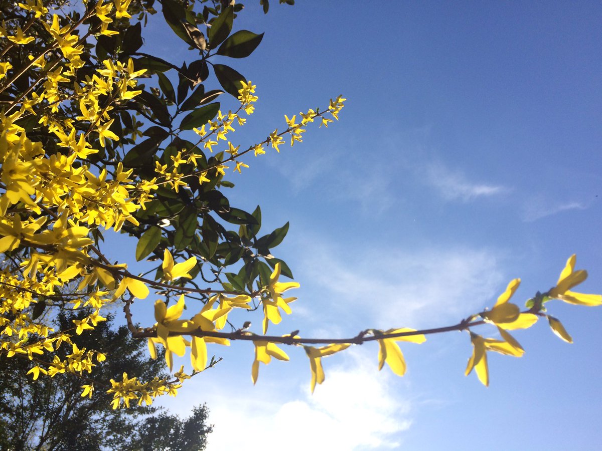 Spring-ing down a winding Richmond road.