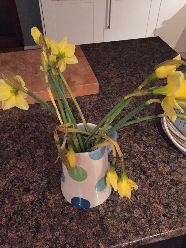 carveiro65's tweet photo. @Morrisons seriously, what an awful bunch of daffs! https://t.co/z1fY4F9bDl