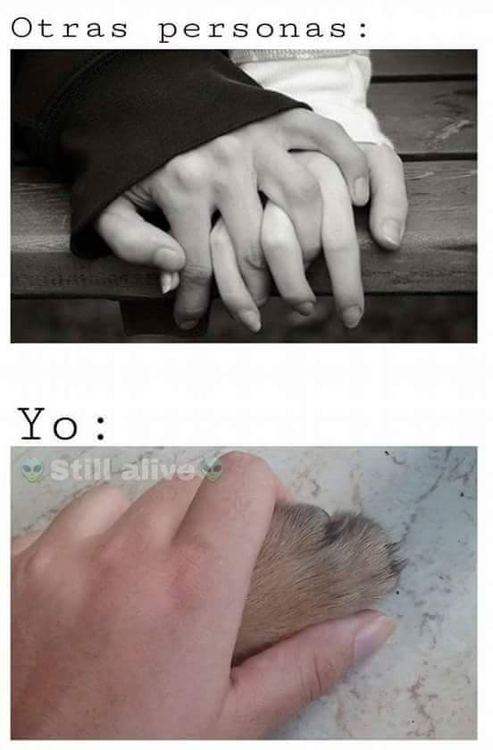 Lorena_Parrado's tweet photo. MI TODO 🐾 https://t.co/cd84sLT2hv