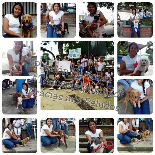 VeroBarcenas221's tweet photo. Peludos, somos la voz de los que tienen 
#Loveanimal #Mecuento  #Crónicajoven @MeSumoTA @Teleantioquia  #tvengrande https://t.co/klE30kRb2Z