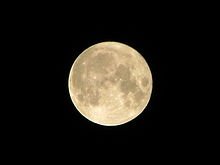 gaufqwi's tweet photo. We are monkeys who came down from the trees and flew to the moon. #TeamCivilization https://t.co/hkD6LQbnAE
