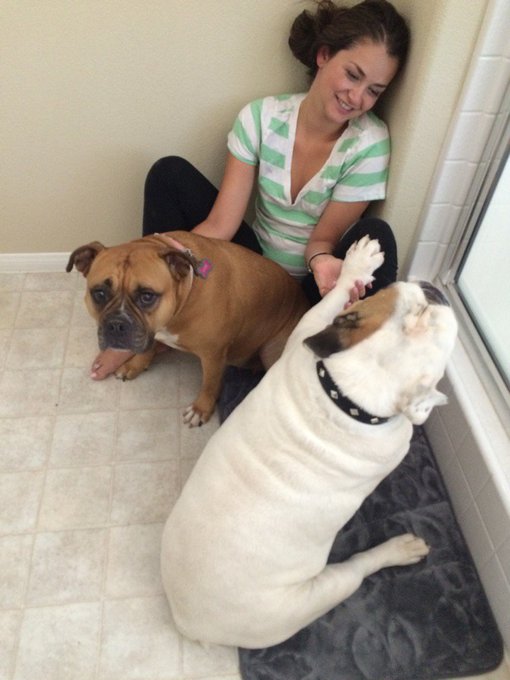 Missing my babies! Happy #NationalPuppyDay #bestfriends #puppylove https://t.co/Ku0ooxywRO<a href="/tag/nationalpuppyday"class="tags">#NationalPuppyDay</a><a href="/tag/bestfriends"class="tags">#bestfriends</a><a href="/tag/puppylove"class="tags"><span>#puppylove</span></a>