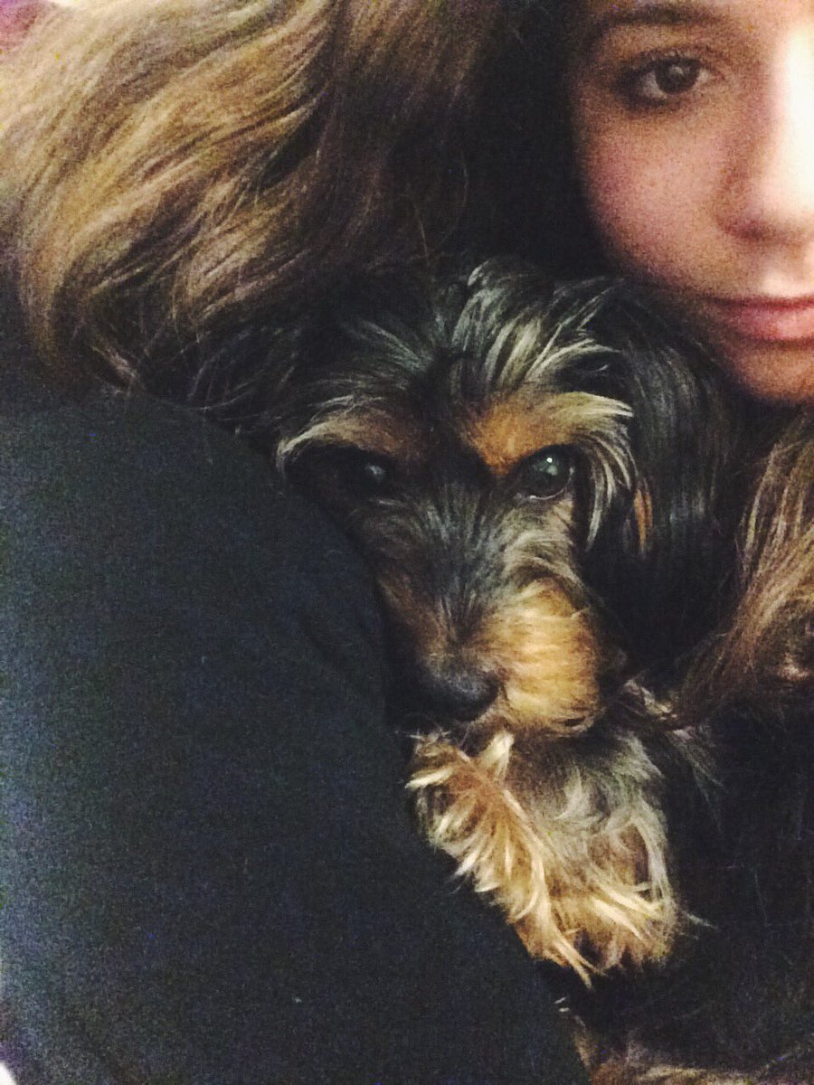 anakyzer's tweet photo. #NationalPuppyDay my 2 favorite pups 😋🐶🐾 https://t.co/ebtHlMbi4s