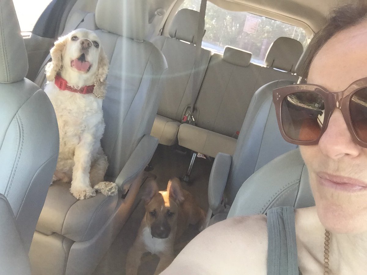 Post hike, pre-tweet selfie. #Heartbeat #NationalPuppyDay