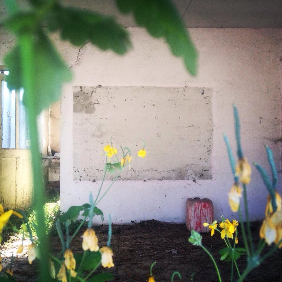 Alcarr35's tweet photo. House. Sang belge à la Maison des Morts #photo #photography #bruxelles #flowers #contemporaryart #ilovelabelgique 😓 https://t.co/IRLuT8US8E