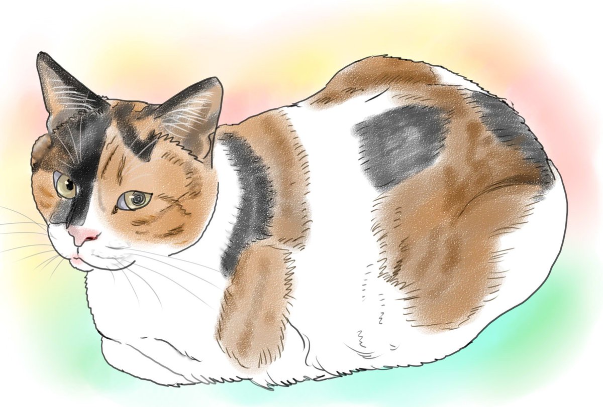 きなこ 猫の絵を描いています 今日のうちねこイラストです くろはいつも手を伸ばして寝てる 楽なのかな このポーズ みけは気が付くとこっちを見ている Fwf かわいいな T Co H5p2wuvnz0 T Co Wlrcad8zpn