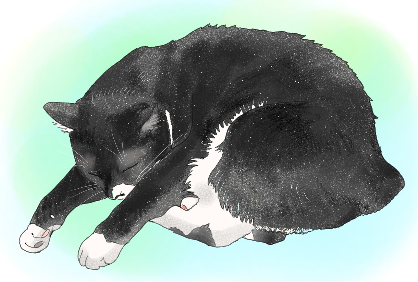 きなこ 猫の絵を描いています No Twitter 今日のうちねこイラストです くろはいつも手を伸ばして寝てる 楽なのかな このポーズ みけは気が付くとこっちを見ている Fwf かわいいな T Co H5p2wuvnz0 T Co Wlrcad8zpn Twitter