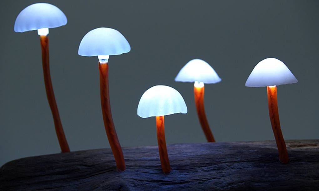 Astigndotcom's tweet photo. Amazing LED mushroom lamps turn your home into a fairytale forest.
#ledmushroom #fairytale #homedecor #fancylight https://t.co/U597r4rT7g