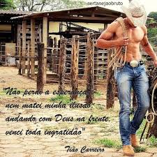 sertanejos (@gabypaulino7) on Twitter photo 