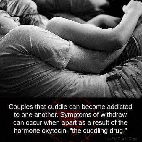 Chef Petrozza tweet media